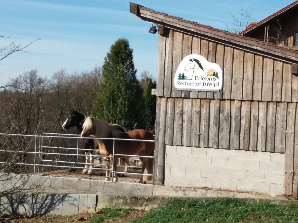 Ferienwohnung Auf Dem Erlebnisreiterhof Kreipl Grattersdorf Exterior foto